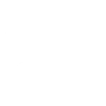 vnz66