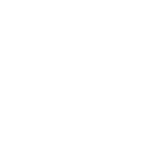 vnz66