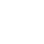 vnz66