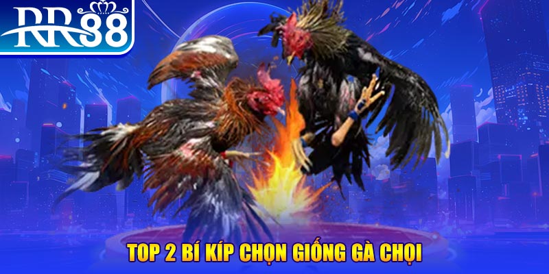 vnz66 bắn cá h5