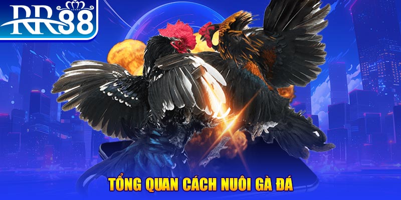 vnz66 xổ số thứ ba