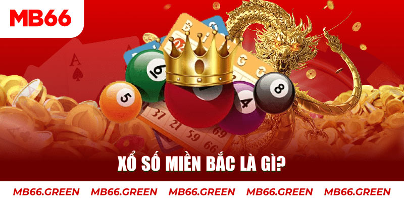 vnz66 đá gà 88