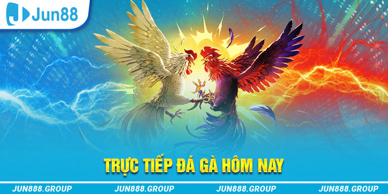 vnz66 trực tiếp đá gà thomo