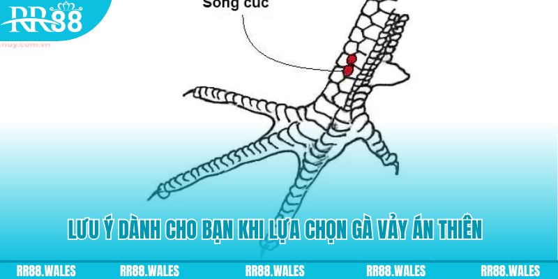 vnz66 xổ số khánh hòa