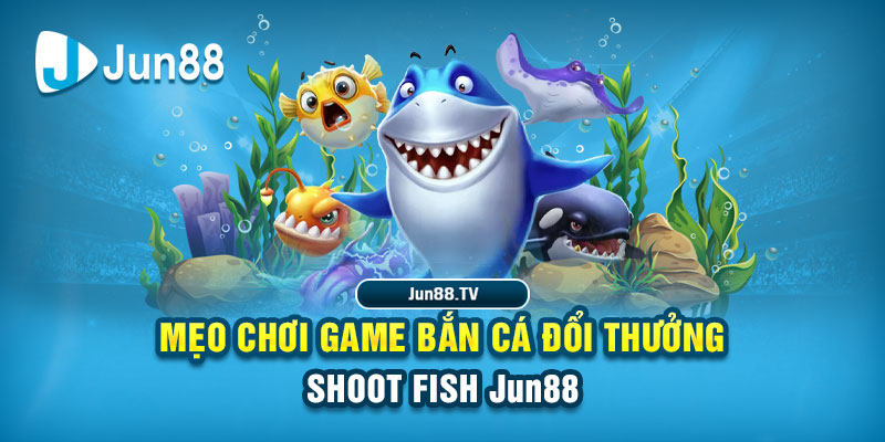 vnz66 tải game đánh bài online về máy tính