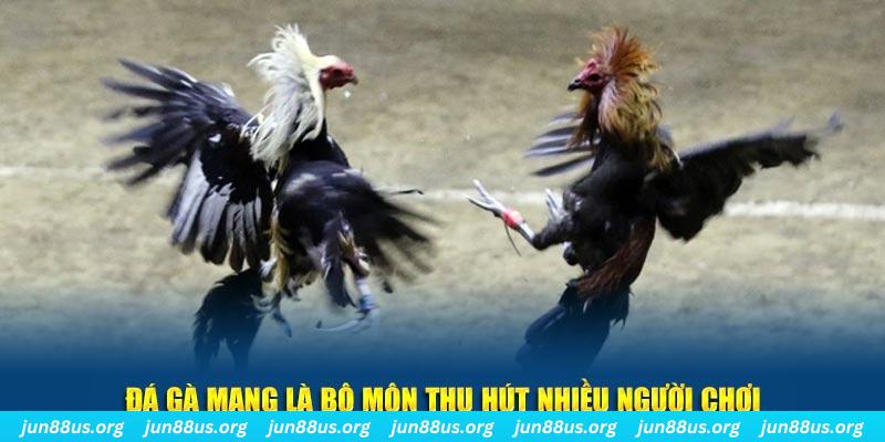 vnz66 xổ số long an