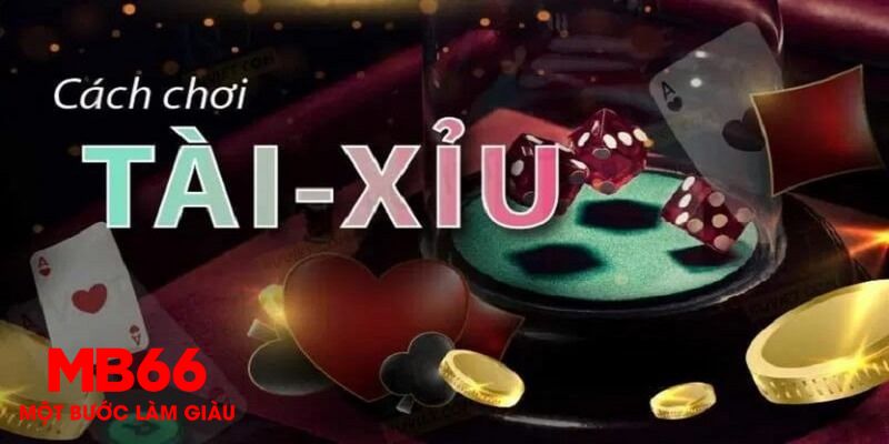 vnz66 1 slot là gì
