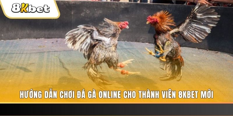 vnz66 nổ hũ đổi thưởng . ai