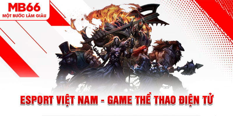 vnz66 PT Điện Tử