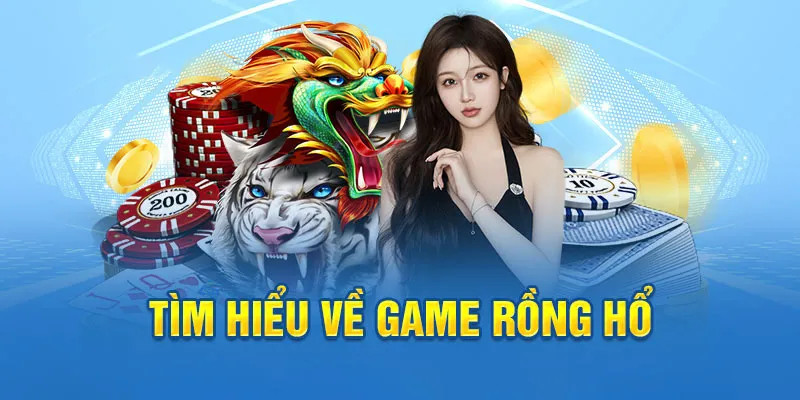 vnz66 ai tool slot 8.0
