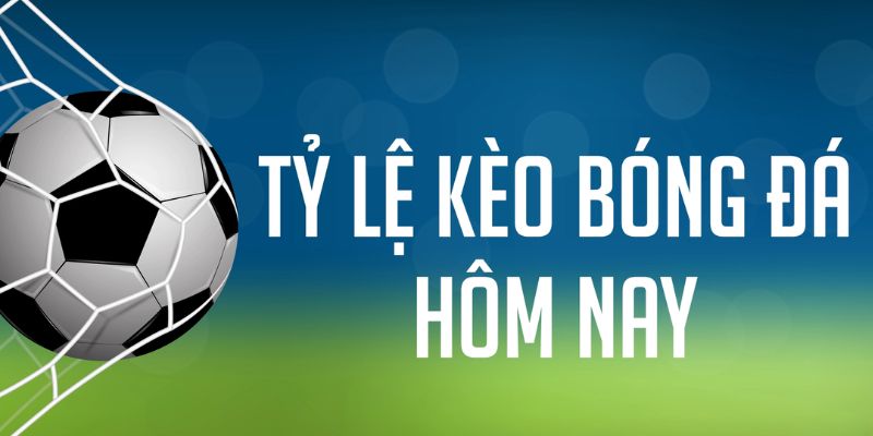 vnz66 ÁT CHỦ MÁY HOA QUẢ THẦN TÀI