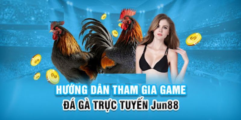vnz66 slot có nghĩa là gì