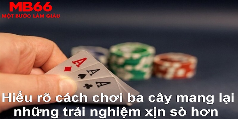 vnz66 DB Trực Tuyến