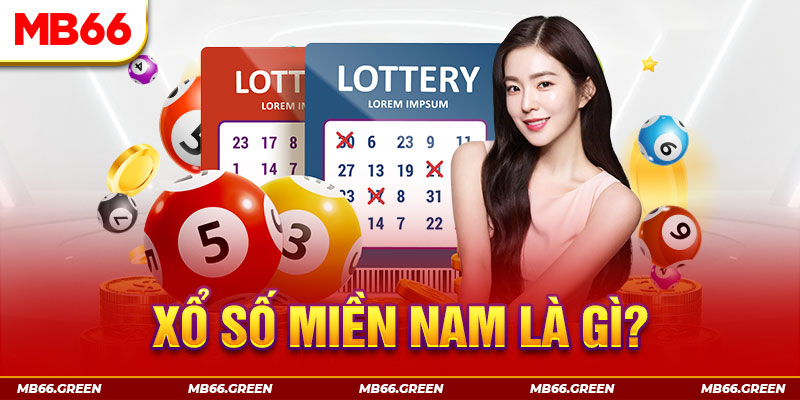 vnz66 what is a casino comp program