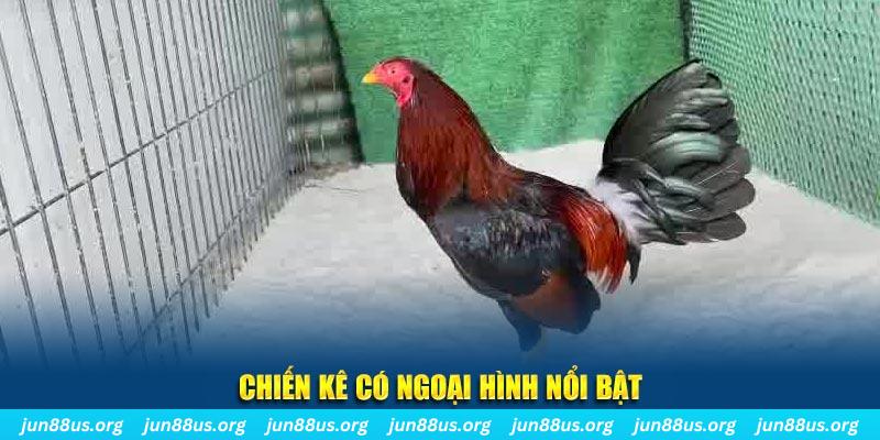 vnz66 nhạc slot là gì